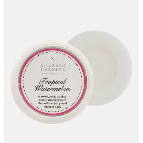 Tropical Watermelon Wax Melt